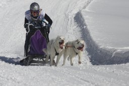 Kandersteg 2013